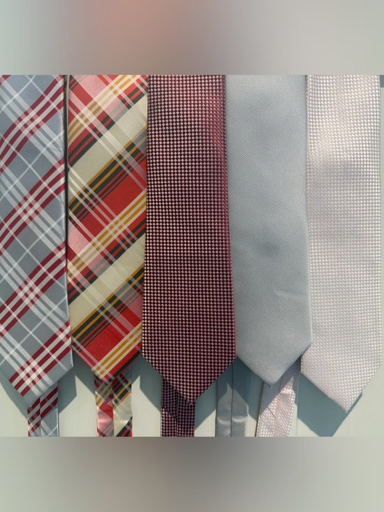 Puccini Other - Men's Plaid & Solid Neck Tie Collection - Light Blue & Burgundy Options (5)
